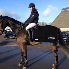 Oldenborg Hestbækvejens first boi