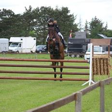 Oldenborg Hestbækvejens first boi