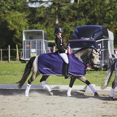 Connemara Skærgårdens Marvelous Night
