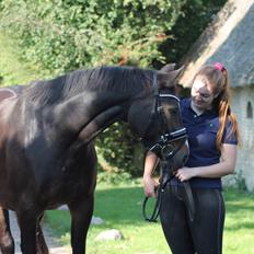 Anden særlig race Newclear p. (Himmelhest)