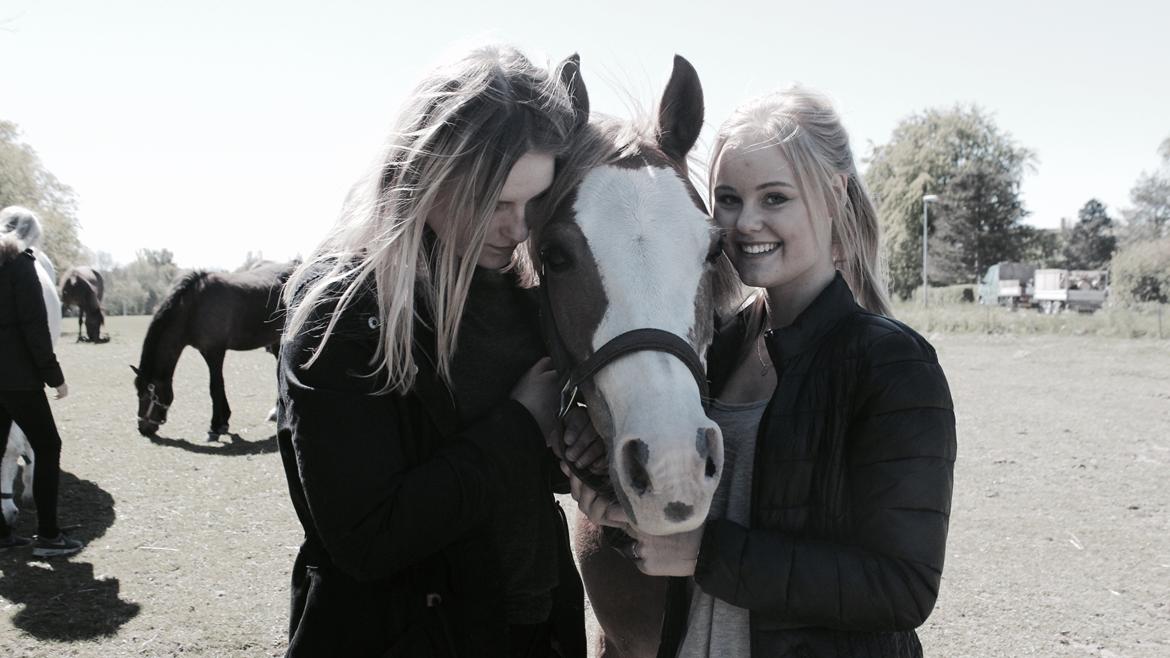 Anden særlig race Miss lucy billede 1