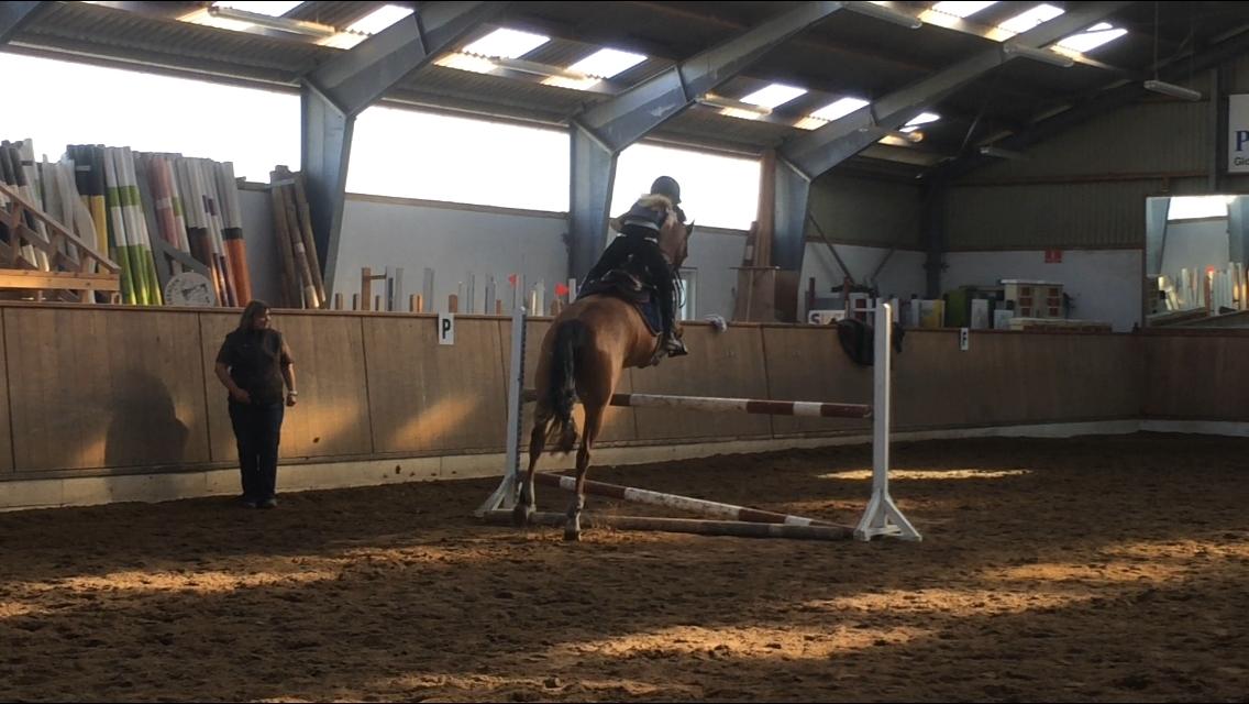 Dansk Varmblod Rts - contreau - Springundervisning👌🏽⭐️ billede 9