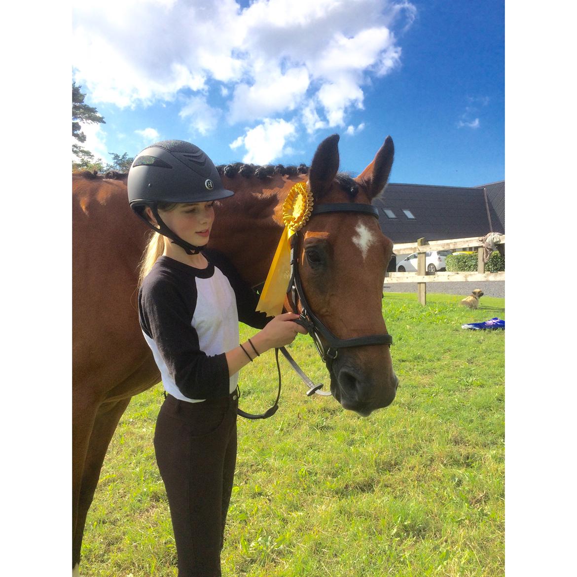 Dansk Varmblod Rts - contreau - Horsegrooming med Tina Dufour 3pl💪🏽 billede 4