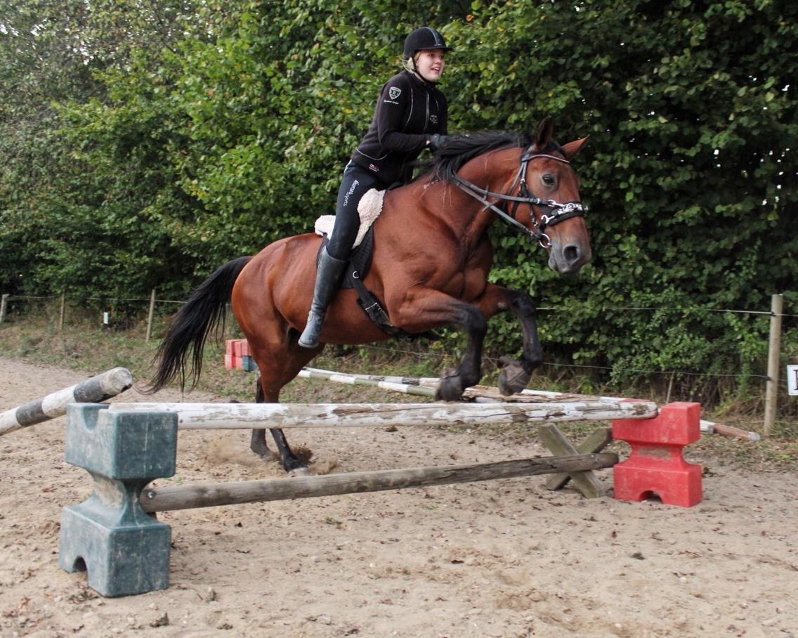 Traver Join Ecoflow billede 16