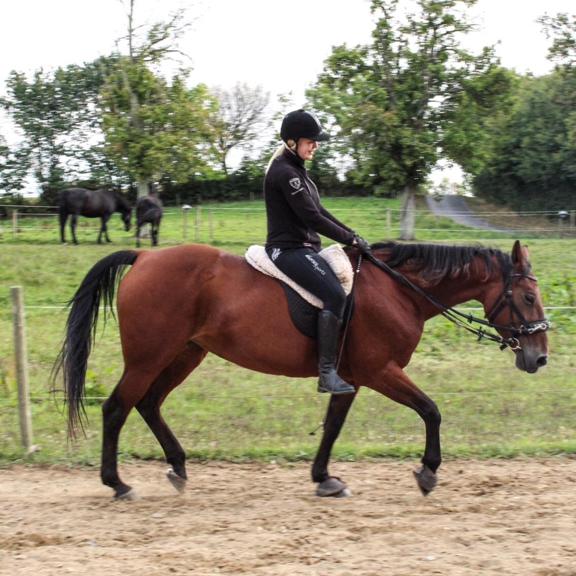 Traver Join Ecoflow billede 18