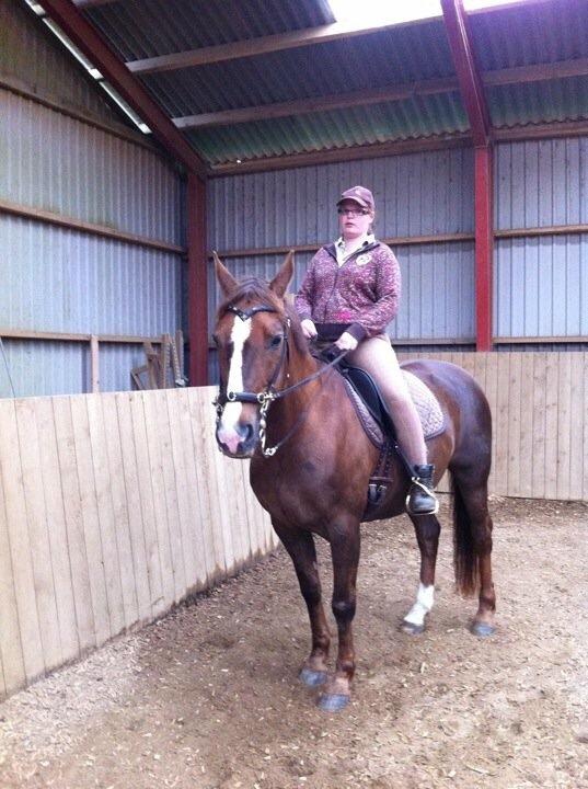 Hannoveraner Frau Split (Donna) billede 14