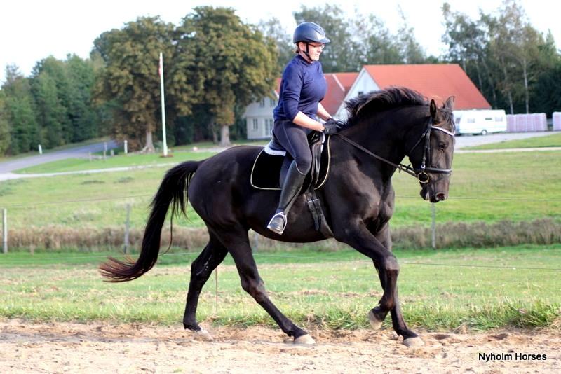 Oldenborg Sjamajka Nyholm billede 42