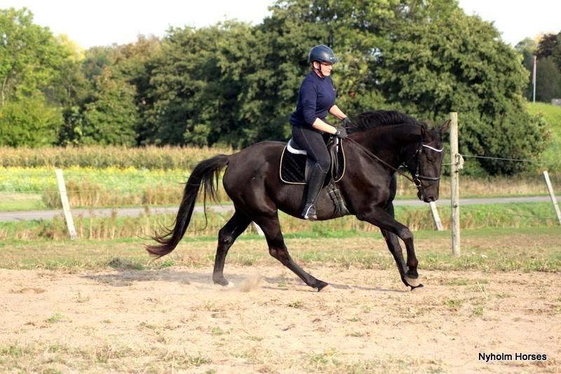 Oldenborg Sjamajka Nyholm billede 43