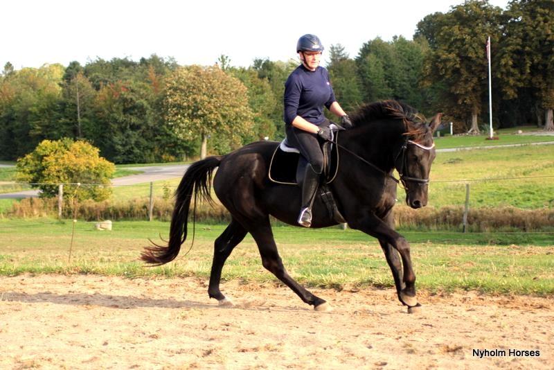 Oldenborg Sjamajka Nyholm billede 8