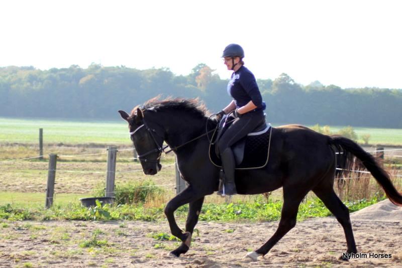 Oldenborg Sjamajka Nyholm billede 6