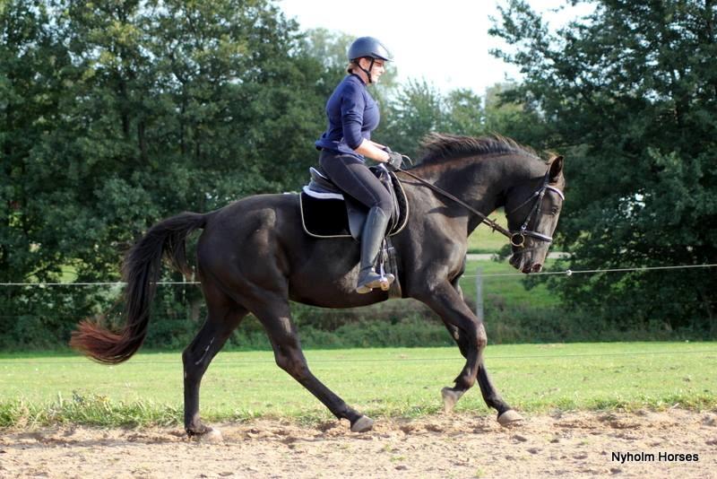 Oldenborg Sjamajka Nyholm billede 45