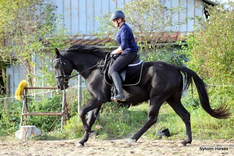 Oldenborg Sjamajka Nyholm billede 46