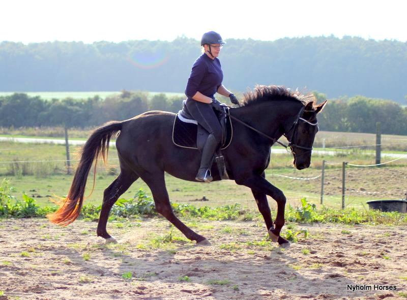 Oldenborg Sjamajka Nyholm billede 44