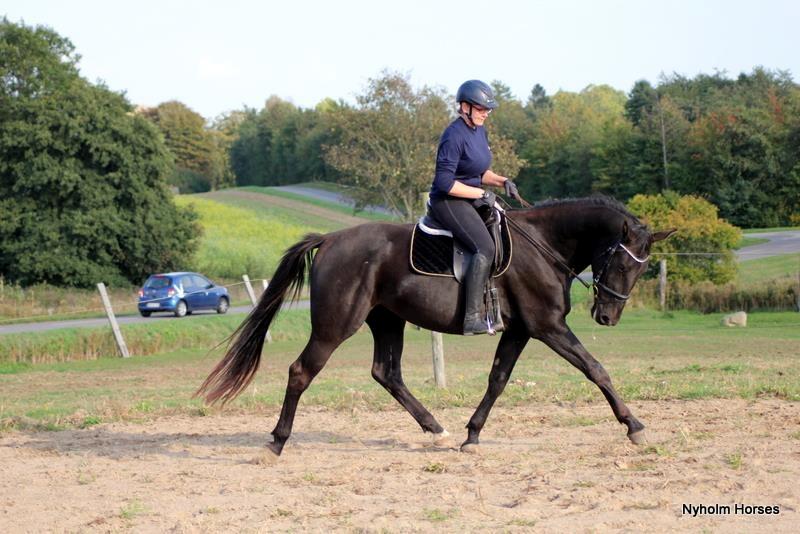 Oldenborg Sjamajka Nyholm billede 1