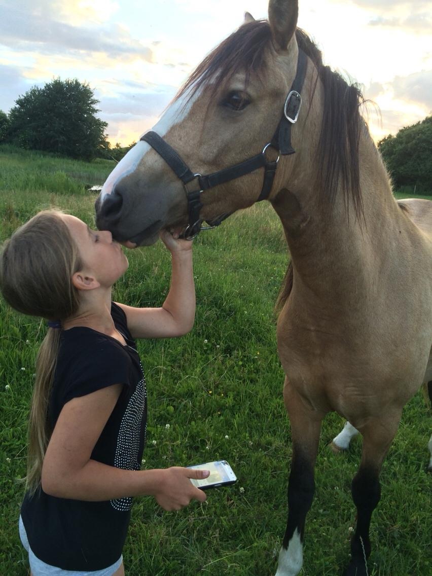 Anden særlig race Roosgårdens Cuba Caramel billede 19