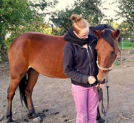 Traver Jovial Millpond billede 3