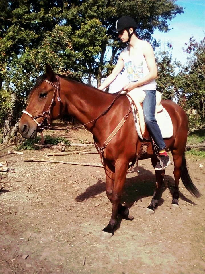 Traver Jovial Millpond - Jovial med rytter på efter ganske kort periode med N-HMS træning billede 6