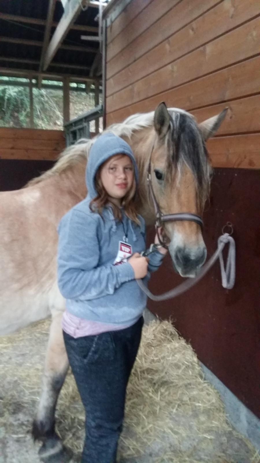 Fjordhest Tøsen  billede 10