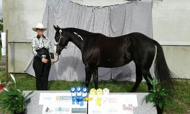 Paint CLP COLONELS LAIDBACK billede 23