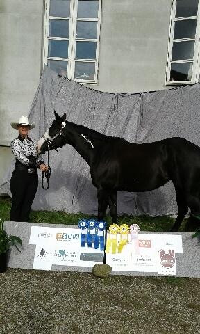 Paint CLP COLONELS LAIDBACK billede 24