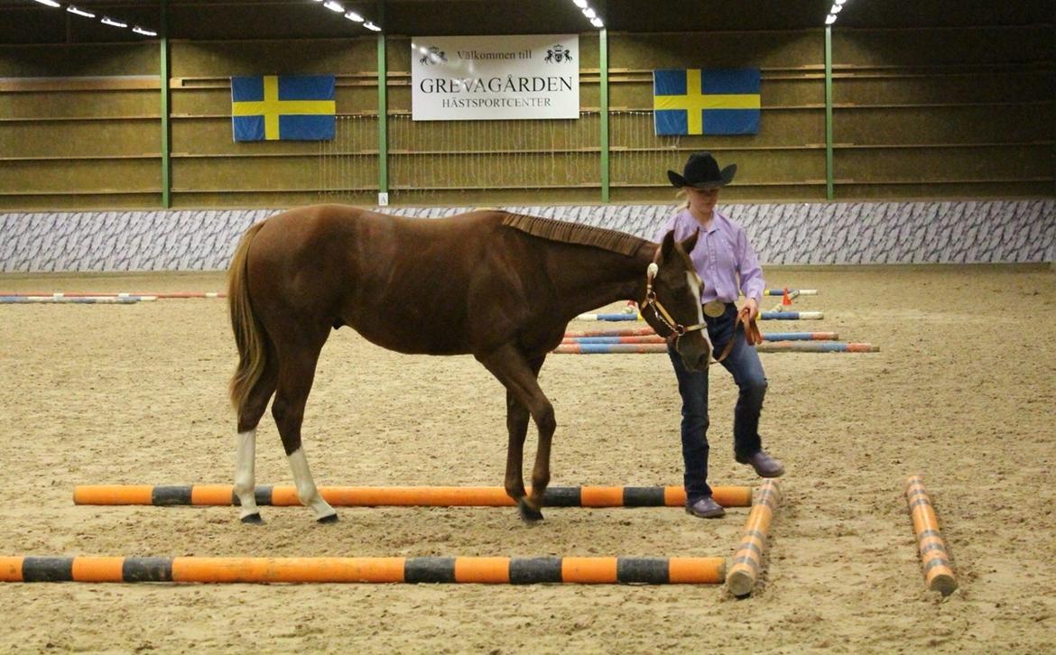 Paint Radicalackoflace billede 13