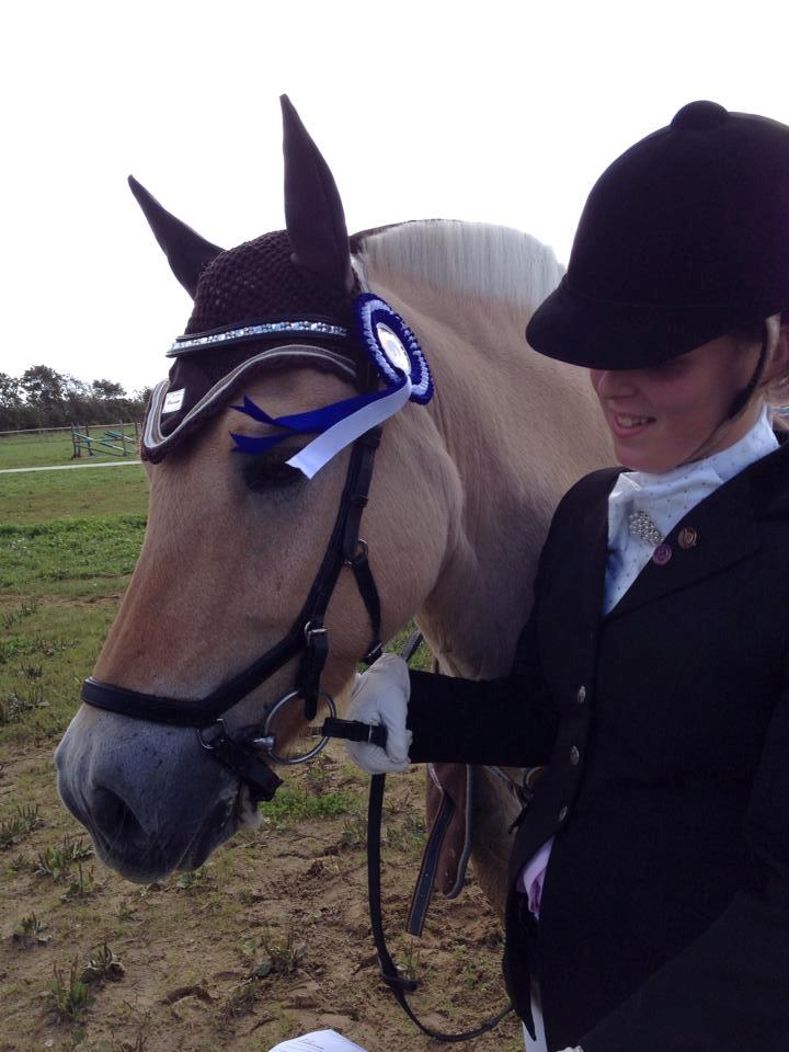 Fjordhest Caramel vårby billede 13