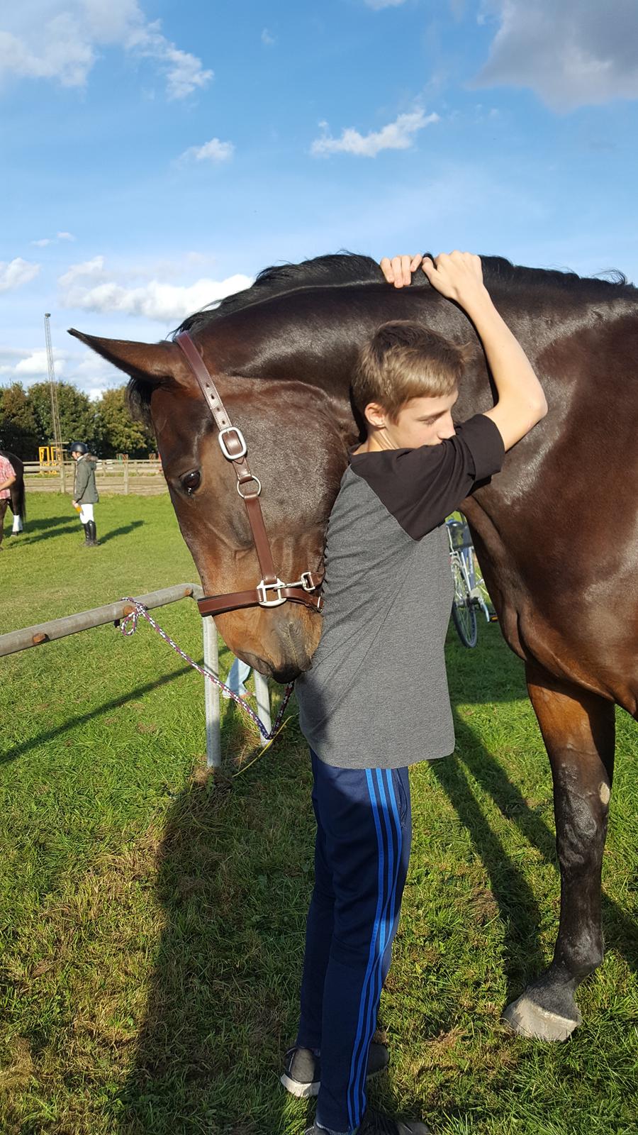 Oldenborg Nobel star - Lillebror Joey og Nobel Star, Harridslev 24/9-16 billede 5