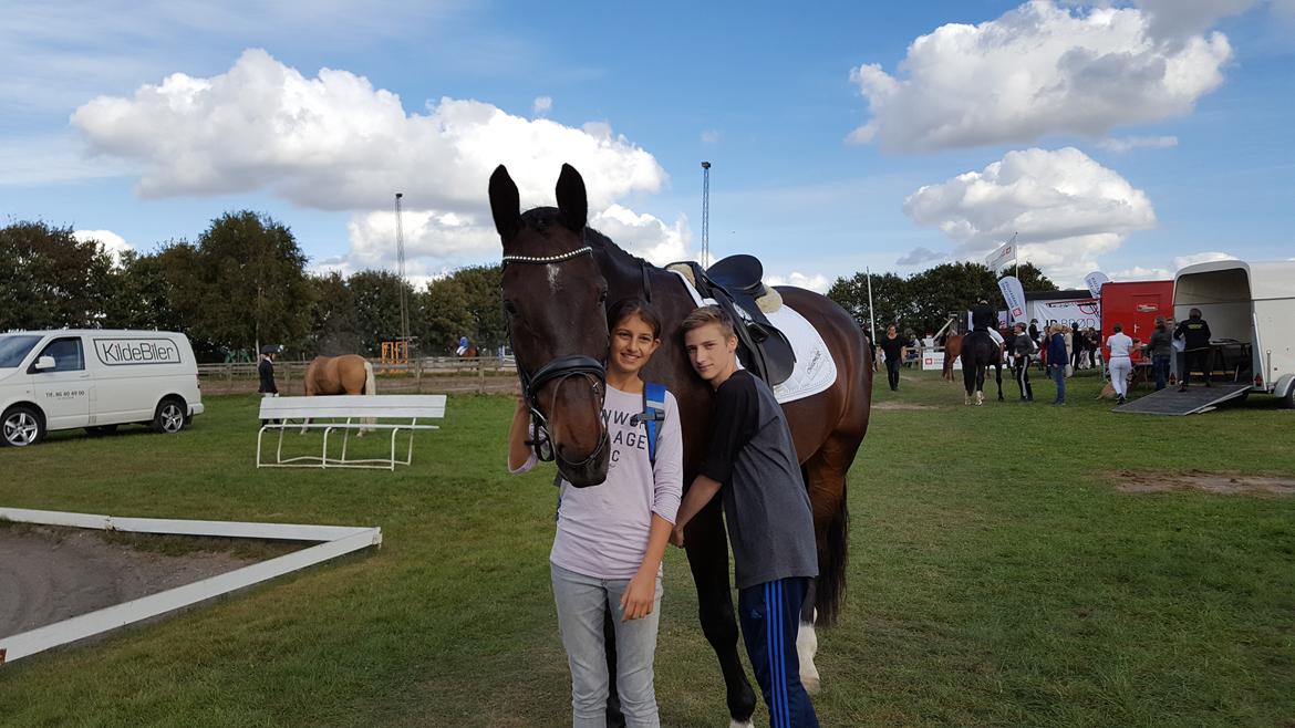 Oldenborg Nobel star - Harridslev 24/9-16 billede 6