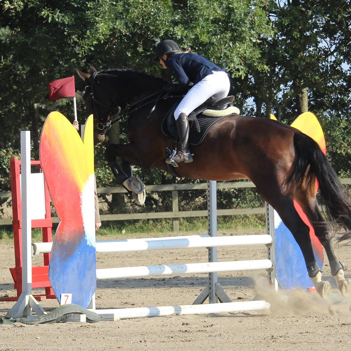 Oldenborg Nobel star - Første springstævne, Harridslev 25/9-16 LE spring billede 10