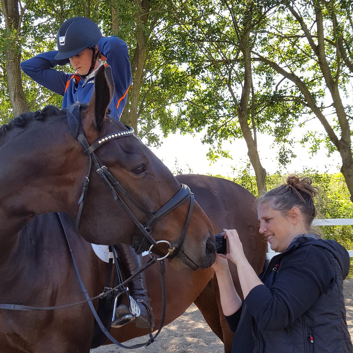 Oldenborg Nobel star - Rosenholm 21/8-16 billede 13