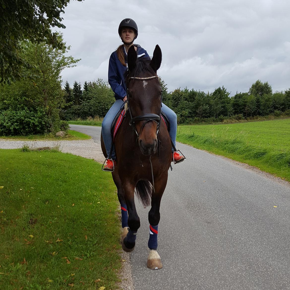 Oldenborg Nobel star - Min søster skridter tur billede 11
