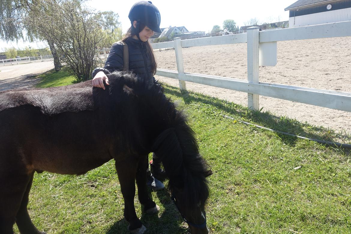 Anden særlig race Victor billede 2