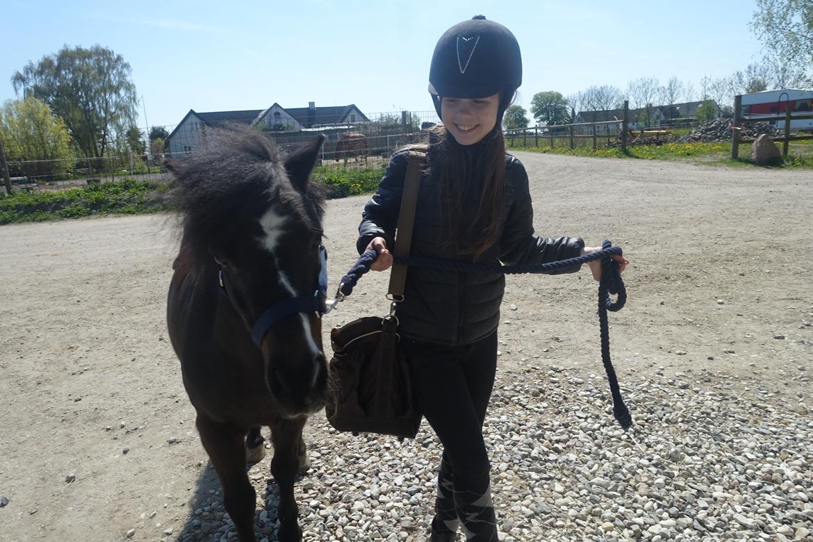 Anden særlig race Victor billede 6