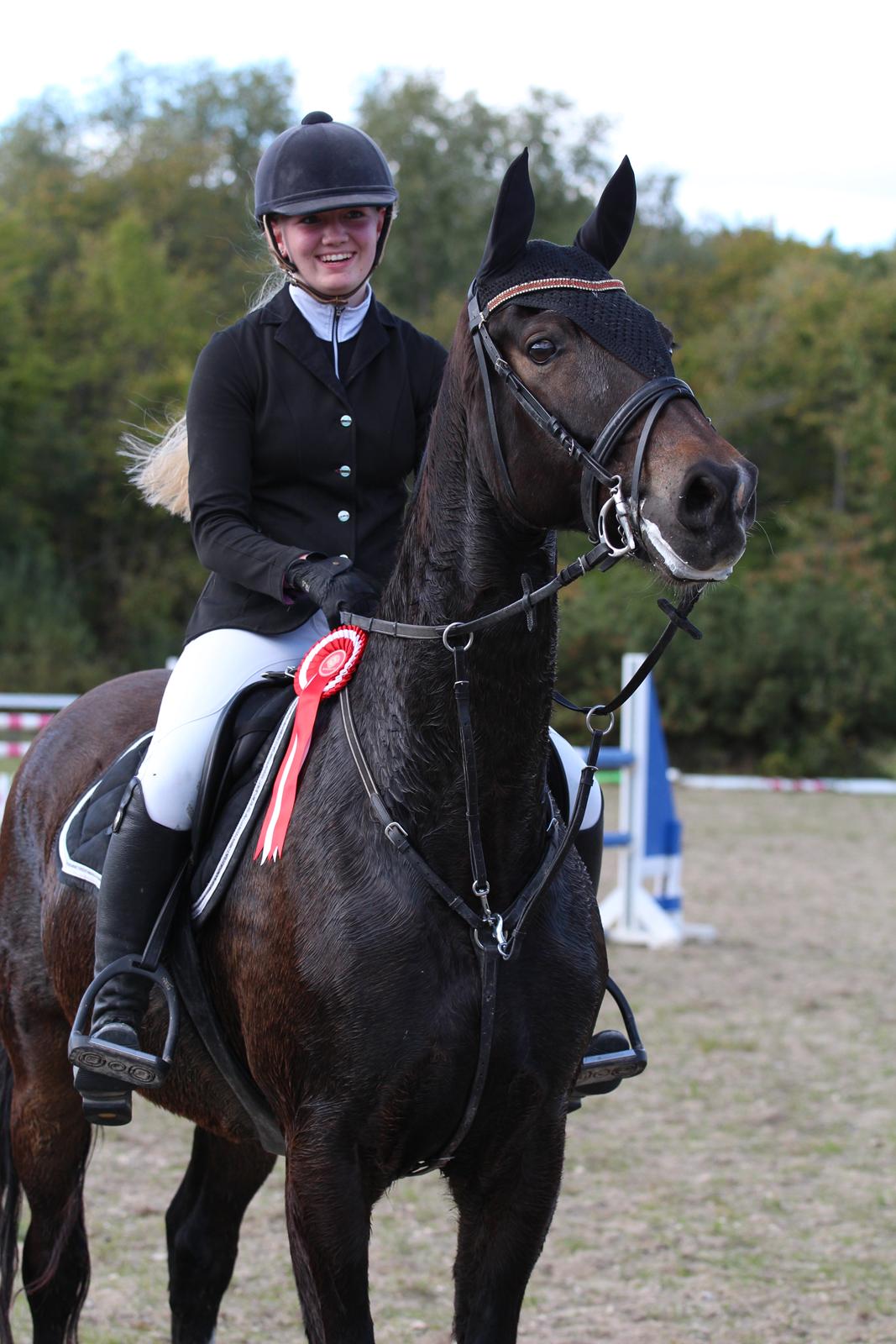 Hollandsk Varmblod Wilddancer - Til klubstævne på HGRK  billede 35