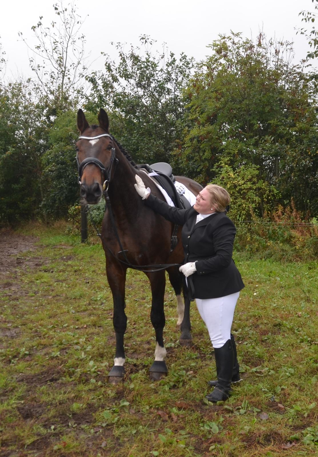 Dansk Varmblod Algirane billede 12