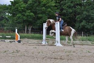 Pinto Ducati - ikke kønt, men over vi kom :D  billede 13