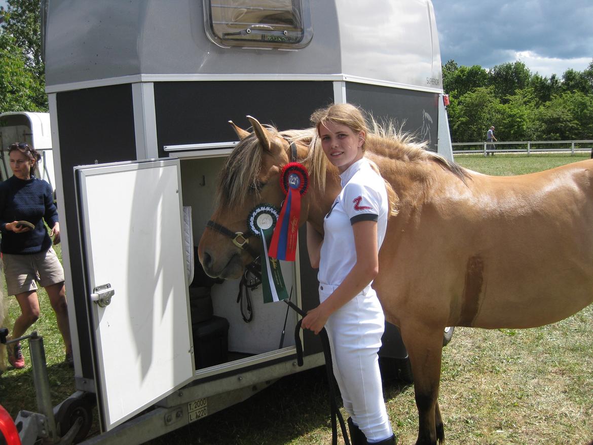 Anden særlig race Viddi billede 6