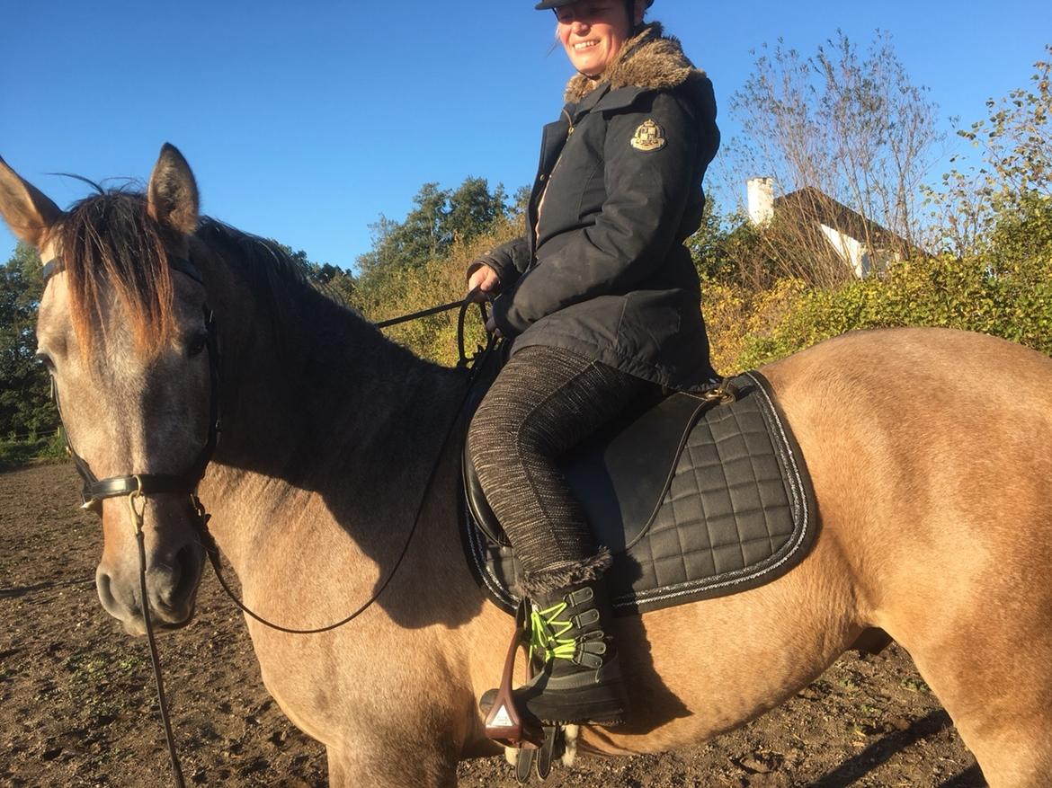 Pura Raza Española Primero  billede 18