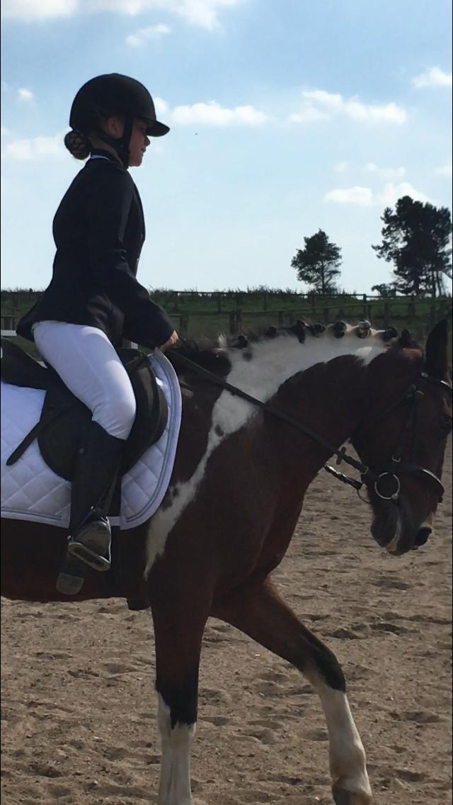 Anden særlig race Sandy - Vores første stævne <3 billede 2