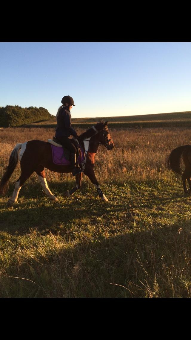 Anden særlig race Sandy - Tur er deeeejligt <333 billede 6