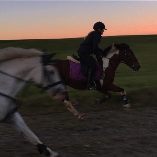 Anden særlig race Sandy - Jiiii haaaa! <333 billede 13