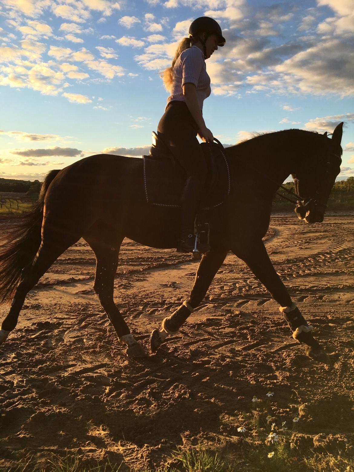 Traver Alica Gold  billede 4