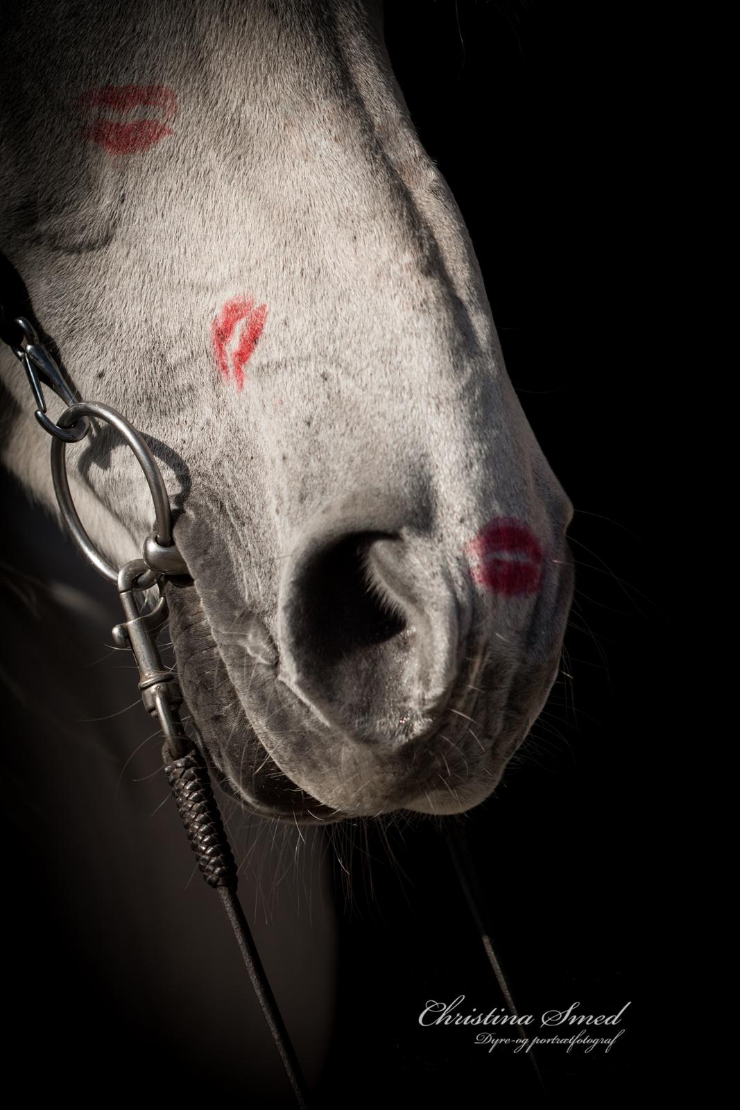Anden særlig race Twenty - Fotograf Christina Smed billede 6