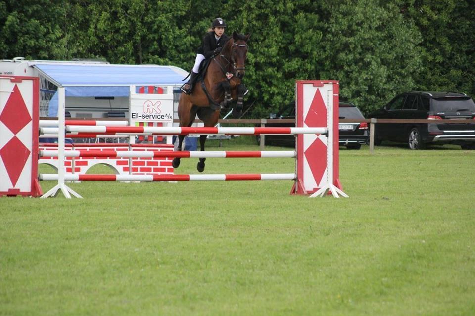 Oldenborg Hestbækvejens first boi billede 1