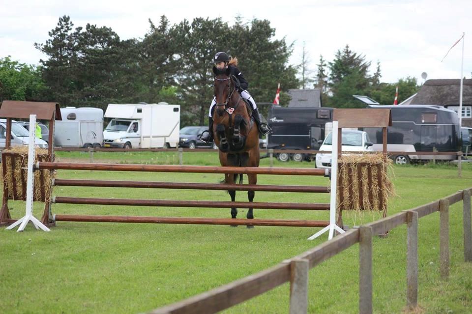 Oldenborg Hestbækvejens first boi billede 3