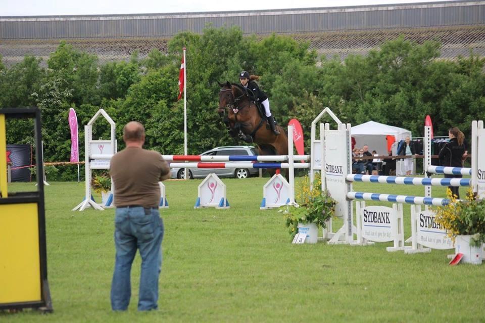 Oldenborg Hestbækvejens first boi billede 4