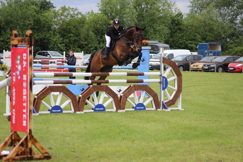 Oldenborg Hestbækvejens first boi billede 5