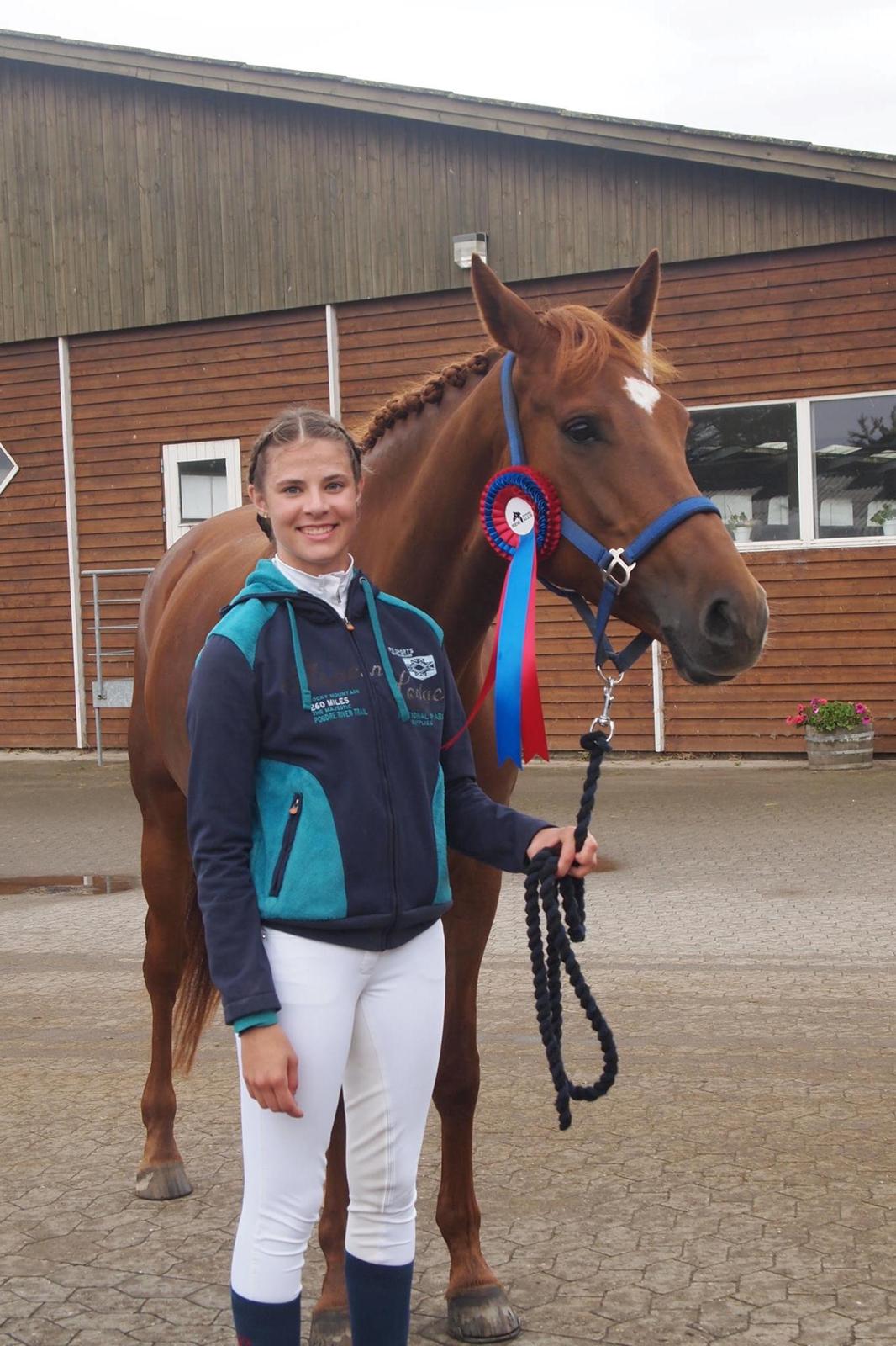 Dansk Varmblod Knunie's Zabella - Første stævne i Nyborg billede 6