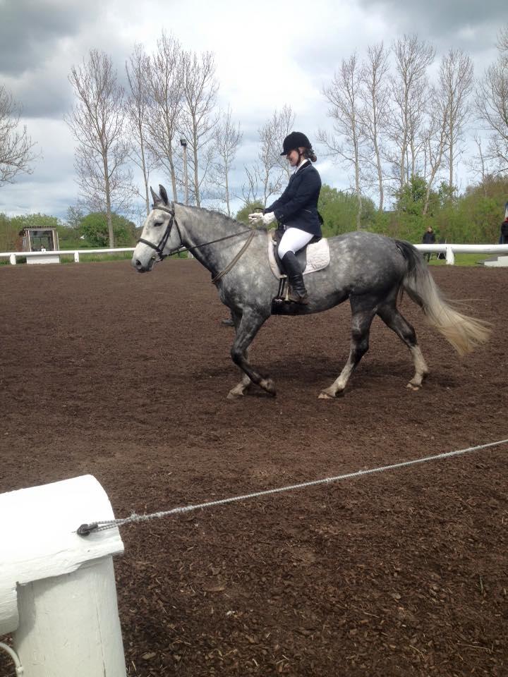 Anden særlig race Bønderskovgårds Arrina billede 27