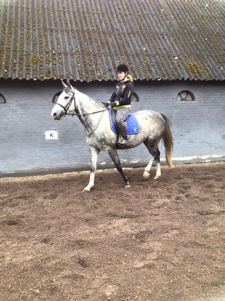 Anden særlig race Bønderskovgårds Arrina billede 29